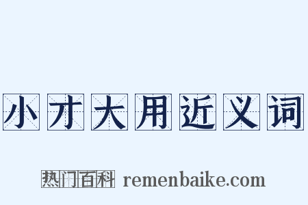 小才大用近义词是什么意思的图片